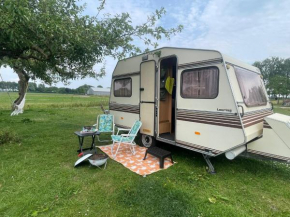 Vintage caravan in old orchard at farm Huize Blokland